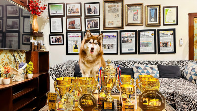 Zoee of Wholly & Wags Kennel