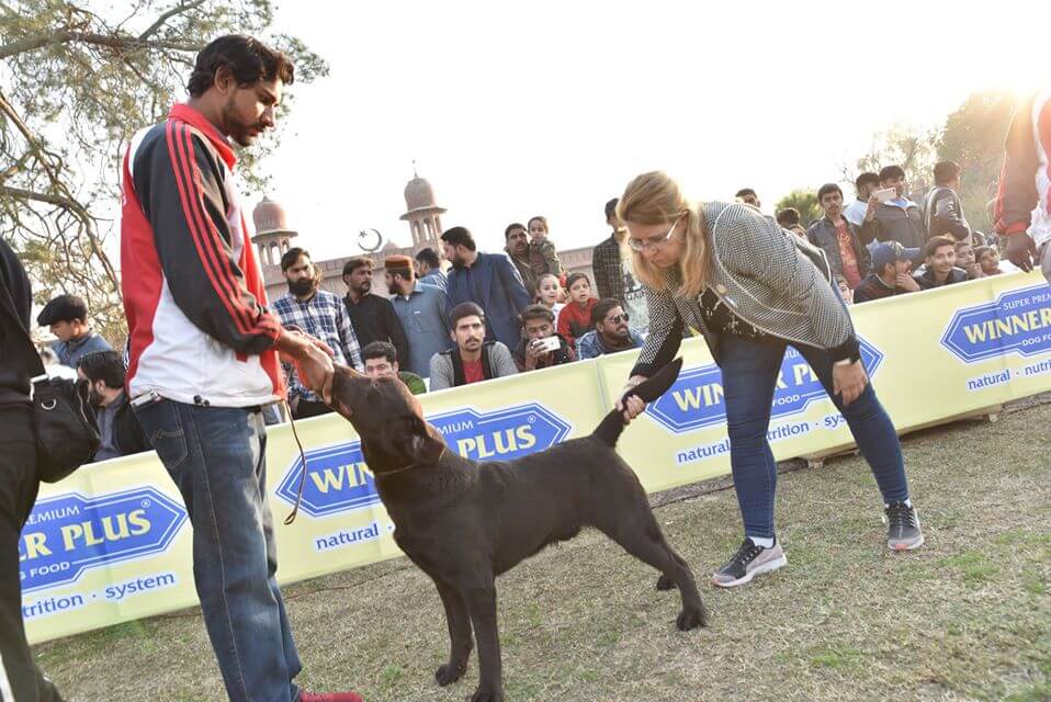 158